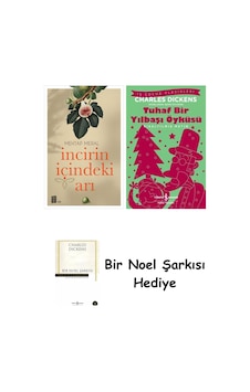 İncirin İçindeki Arı + Tuhaf Bir Yılbaşı Öyküsü + Bir Noel Şarkısı
