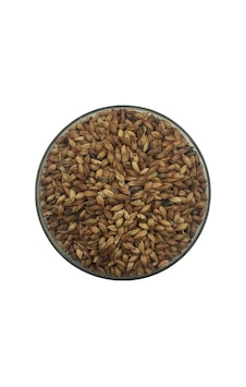 Hitit Malt Karamela Arpa Maltı 1 KG Hitit Malt Karamela Arpa Maltı 1 KG
