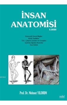 İnsan Anatomisi