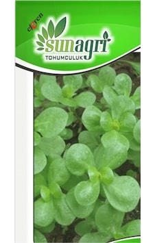 Sunagri Semiz Otu Tohumu Sunagri Semiz Otu Tohumu