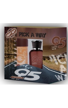 Q5 Freedom Erkek Parfüm EDT 100 ML + Sprey Deodorant 150 ML