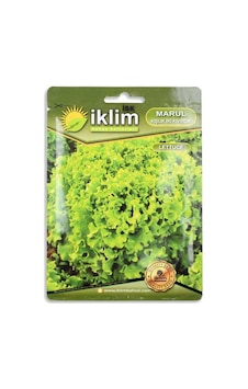 Tohum Marul Kışlık İri Kıvırcık 5gr Tohum Marul Kışlık İri Kıvırcık 5gr
