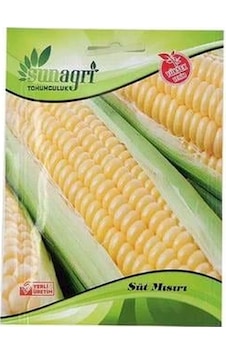 Süt Mısır Tohum Süt Mısır Tohum
