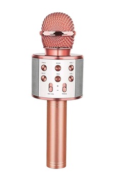 Ws858 Karaoke Mikrofon Gold Roze Ws858 Karaoke Mikrofon Gold Roze