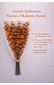 Gerçek Şoklanmış Turuncu Okaliptüs Demeti Doğal Kokulu Büyük Yaprak Büyük Demet Turuncu Gerçek Şoklanmış Turuncu Okaliptüs Demeti Doğal Kokulu Büyük Yaprak Büyük Demet Turuncu