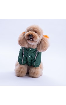 Haki Pluvia V25 Köpek Mont Köpek Yağmurluk Köpek Kıyafeti Köpek Elbisesi Haki Pluvia V25 Köpek Mont Köpek Yağmurluk Köpek Kıyafeti Köpek Elbisesi