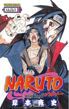 Naruto 43. Cilt Kapak Değişebilir