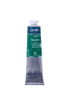St. Petersburg Ladoga Yağlı Boya 46 Ml Sap Green 716 St. Petersburg Ladoga Yağlı Boya 46 Ml Sap Green 716