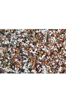 Güvercin Yemi Karışık Güvercin Yemi Lüx Ekonomik 10 Kg Güvercin Yemi Karışık Güvercin Yemi Lüx Ekonomik 10 Kg