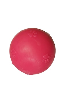 Kardelen Termoplastik Pati Desenli Köpek Oyun Topu Xlarge 7.5 CM Kardelen Termoplastik Pati Desenli Köpek Oyun Topu Xlarge 7.5 CM