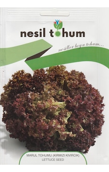 NesilMarul Tohumu Kırmızı Kıvırcık 3 GR NesilMarul Tohumu Kırmızı Kıvırcık 3 GR