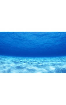 Kanki Pet 105 CM Akvaryum Arka Fon Yapıştırma 105x52 CM Kanki Pet 105 CM Akvaryum Arka Fon Yapıştırma 105x52 CM