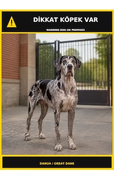 Dikkat Köpek Var Danua Görselli Pvc Uyarı Levhası 21x30cm Dikkat Köpek Var Danua Görselli Pvc Uyarı Levhası 21x30cm