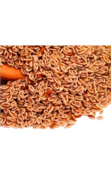 Sanita Karnıyarık Tohumu 500 GR Sanita Karnıyarık Tohumu 500 GR