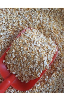 Kırık Mısır Kuş Güvercin Tavuk Yem 6 Kg Kırık Mısır Kuş Güvercin Tavuk Yem 6 Kg