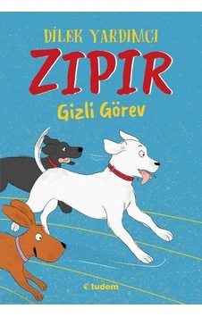 Zıpır Gizli Görev - Dilek Yardımcı - Tudem Yayınları