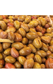 Tüplü Salamuralık İri Meyveli Domat Zeytin Fidanı Tüplü Salamuralık İri Meyveli Domat Zeytin Fidanı