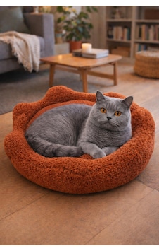 Çiçek Kedi Yatağı