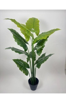 160 Cm Yapay Fil Kulağı Ağacı Plastik Saksıda Yeşil 160 Cm Yapay Fil Kulağı Ağacı Plastik Saksıda Yeşil