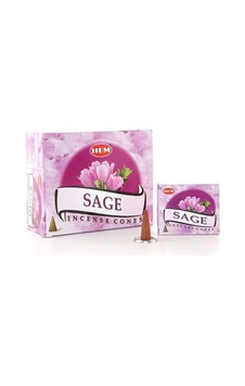 10adet Sage Aromalı Konik Tütsü Tütsülük Buhurdanlık 10adet Sage Aromalı Konik Tütsü Tütsülük Buhurdanlık