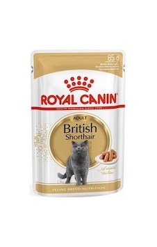 Northcity British Shorthair Yetişkin Kedi Konservesi 85 Gr - Kürk Parlaklığı Ve Sağlık İçin Northcity British Shorthair Yetişkin Kedi Konservesi 85 Gr - Kürk Parlaklığı Ve Sağlık İçin