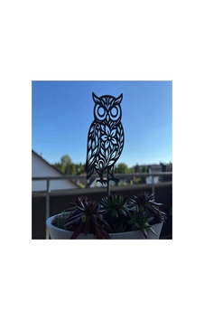 Saksı Çiçek Toprak Bitki Süsü Baykuş Figürü