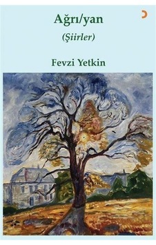 Ağrı / Yan / Fevzi Yetkin Ağrı / Yan / Fevzi Yetkin