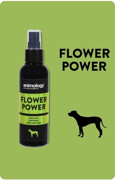Flower Power Fragrance Mist Kedi Köpek Parfümü 150 Ml - Çiçeksi Notalı Unisex Vegan Flower Power Fragrance Mist Kedi Köpek Parfümü 150 Ml - Çiçeksi Notalı Unisex Vegan