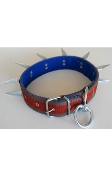 Le-Sar Kolon Battal U Çivili Tasma 5 CM 70 CM (Ls-803) Çok Renkli Le-Sar Kolon Battal U Çivili Tasma 5 CM 70 CM (Ls-803) Çok Renkli
