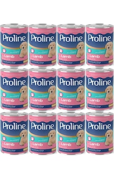 Pro Line Kuzu Etli Yavru Köpek Konservesi 12 x 400 G Pro Line Kuzu Etli Yavru Köpek Konservesi 12 x 400 G