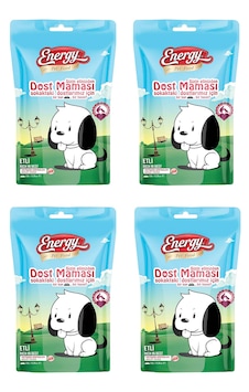 Energy Dost Köpek Maması 4 x 125 G Energy Dost Köpek Maması 4 x 125 G