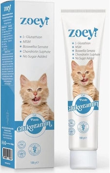 Zoey Glukozamin Paste Kediler İçin Eklem Sağlığını Desteleyen Malt 100 G Zoey Glukozamin Paste Kediler İçin Eklem Sağlığını Desteleyen Malt 100 G