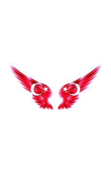 Ay Yıldız Araba Aynası Sticker Yapıştırması Ay Yıldız Araba Aynası Sticker Yapıştırması