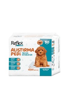 Köpek Alıştırma Pedi Köpek Alıştırma Pedi