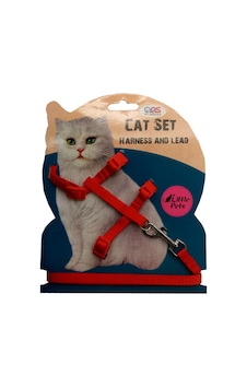 Ans Kedi Göğüs Bel Tasması Kırmızı Ans Kedi Göğüs Bel Tasması Kırmızı