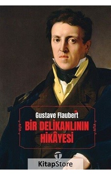 Bir Delikanlının Hikayesi - Gustave Flaubert - Tema Yayınları
