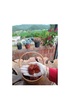 Kuru Kayısı Doğal 500 Gr Diğer