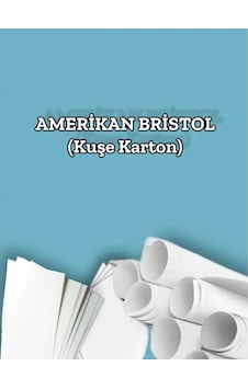 450 Gr. Amerikan Bristol Kağıt Karton 50x70 100 Adet 450 Gr. Amerikan Bristol Kağıt Karton 50x70 100 Adet