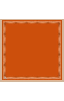 Lavinse Scarf La'vınse Çerçeveli Eşarp Lav27103 001