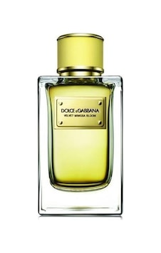 Dolce&Gabbana Velvet Mimosa Bloom Kadın Parfüm EDP 150 ML