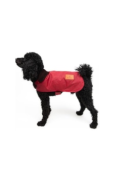 Stuf&co Köpek Montu, Su Ve Rüzgar Geçirmez, İthal Waxed Cotton Kumaştan Üretilmiş Kırmızı, Medium Acı Biber