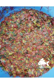 Atılım Akvaryum Lepistes Molly Plati Tetra Canlı Doğuran Balık Yemi 100 G