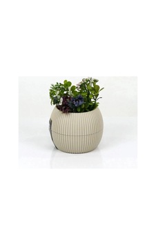 Hubrendy Tedarik Mercan Saksı 11.5x12 Cm 0.70 Lt Hubrendy Tedarik Mercan Saksı 11.5x12 Cm 0.70 Lt