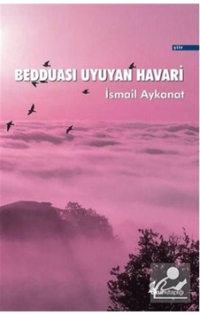Bedduası Uyuyan Havari- Okur Kitaplığı
