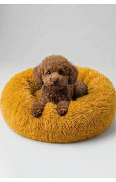United Colors Of Benetton Bntmkt-0012-or Uzun Kürklü Donut Kedi&köpek Yatağı Turuncu 55 Cm United Colors Of Benetton Bntmkt-0012-or Uzun Kürklü Donut Kedi&köpek Yatağı Turuncu 55 Cm