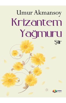 Krizantem Yağmuru N11.17409