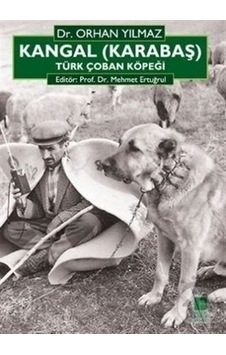 Kangal karabaş Türk Çoban Köpeği Kangal karabaş Türk Çoban Köpeği