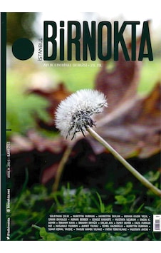 İstanbul Birnokta 263.sayı Aralık 2023