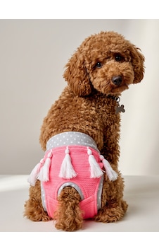 Neo Pink Dişi Köpek Regl Külotu Köpek Donu Köpek İç Çamaşırı Pet Kıyafet Küçük Irklar İçin Neo Pink Dişi Köpek Regl Külotu Köpek Donu Köpek İç Çamaşırı Pet Kıyafet Küçük Irklar İçin