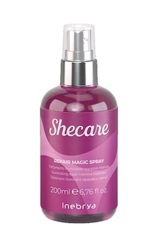 Inebrya Ice Cream Shecare Repair Treatment 200 ML Inebrya Ice Cream Shecare Repair Treatment 200 ML